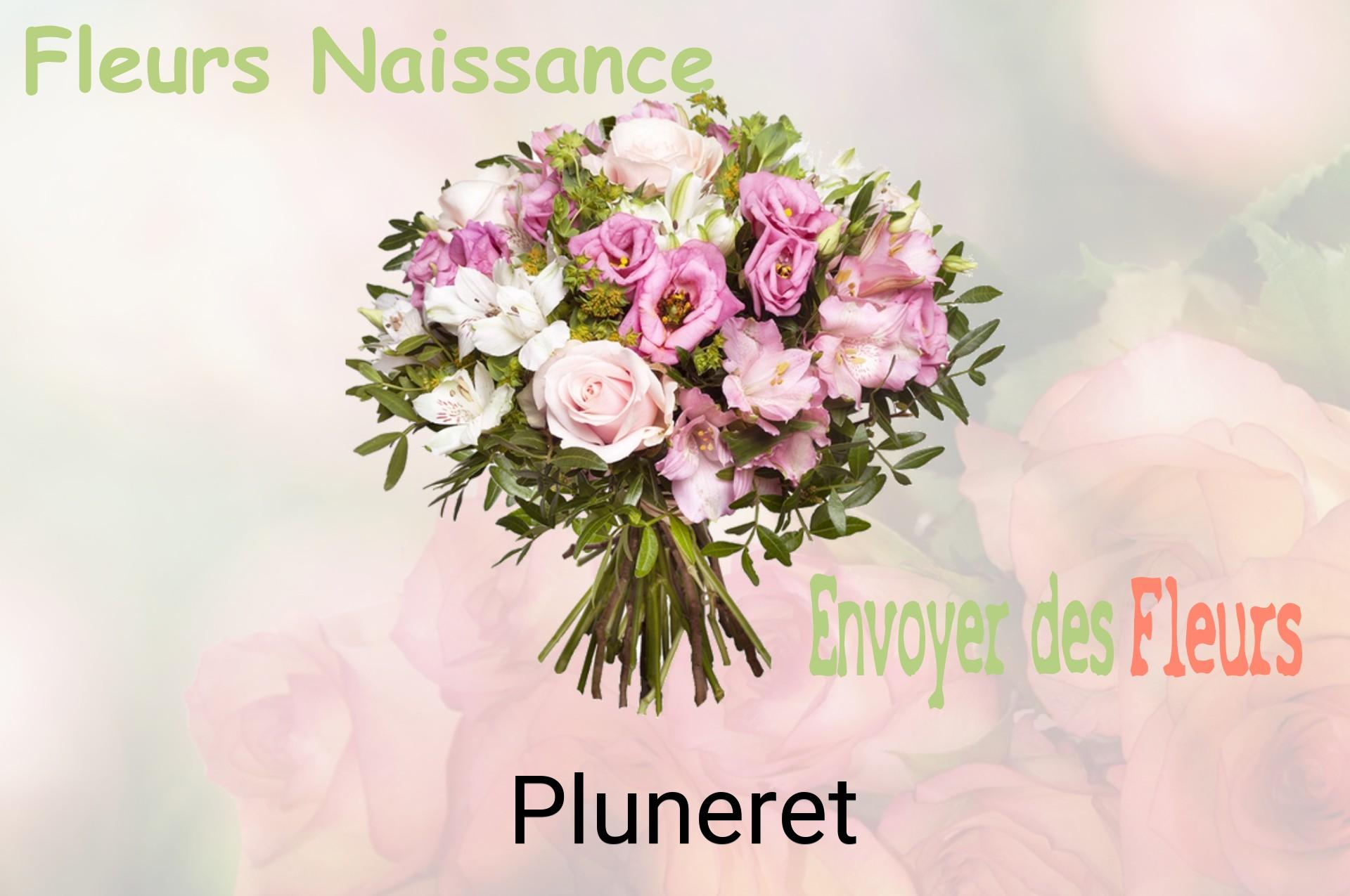 Bouquet de fleurs de naissance livré à Pluneret