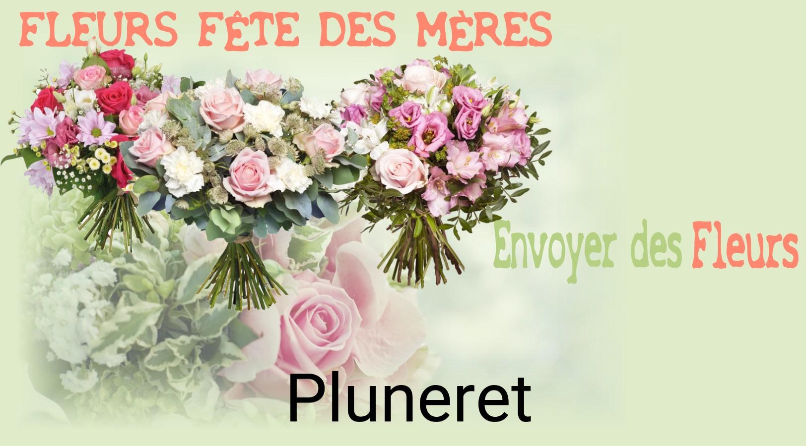 Bouquet de Fête des Mères livré à Pluneret